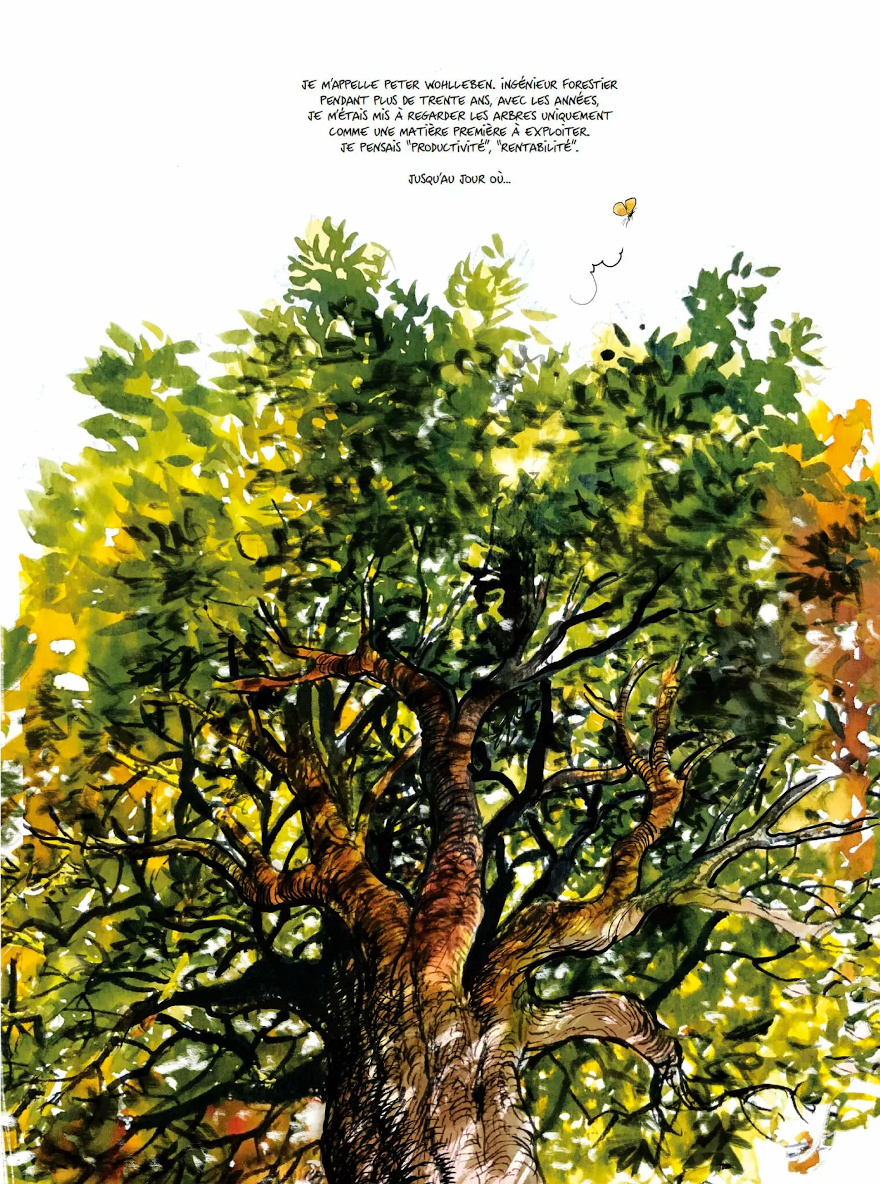 La vie secrète des arbres en BD