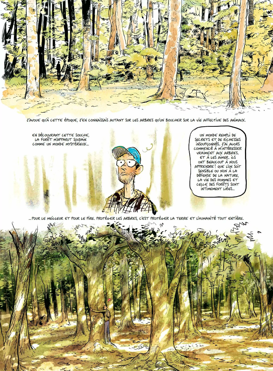 La vie secrète des arbres en BD