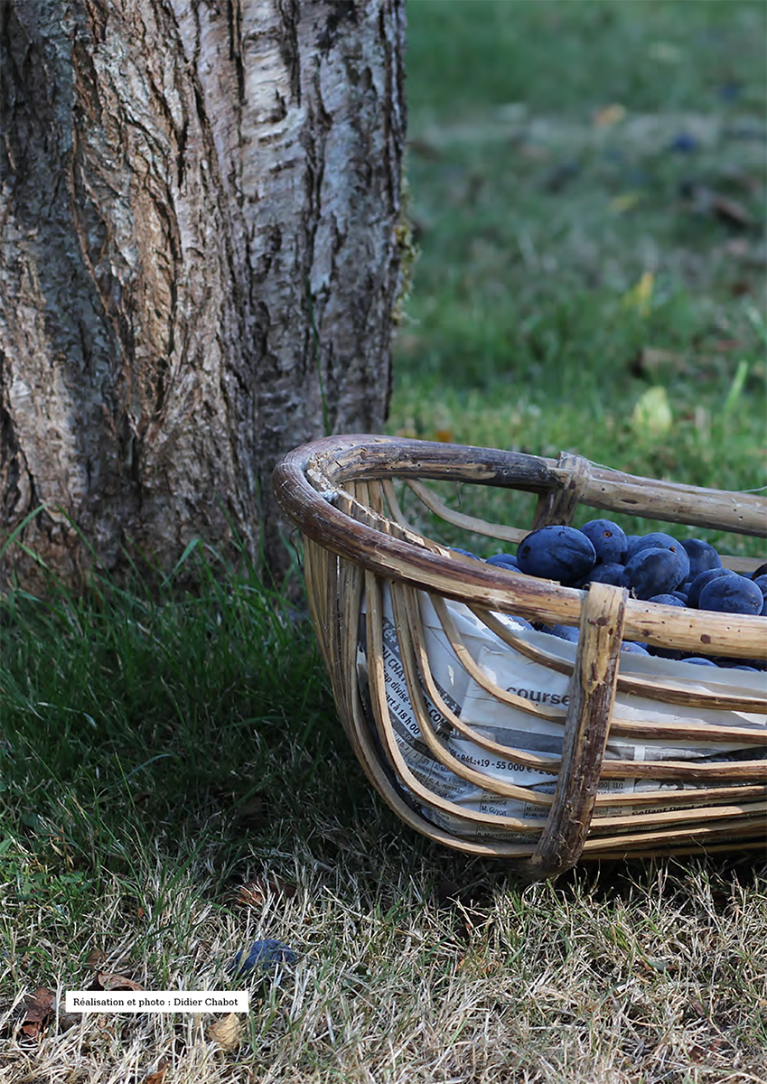 Le Lien Créatif #51