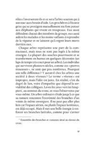 la vie secrète des arbres