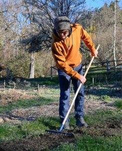 Le guide terre vivante du potager bio