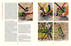 Le Conservatoire de la Tomate Savoir-faire de La Bourdaisière, 50 variétés à cultiver