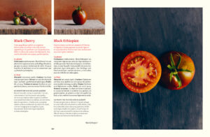 Le Conservatoire de la Tomate Savoir-faire de La Bourdaisière, 50 variétés à cultiver