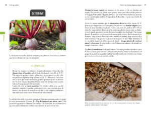 Le potager résilient