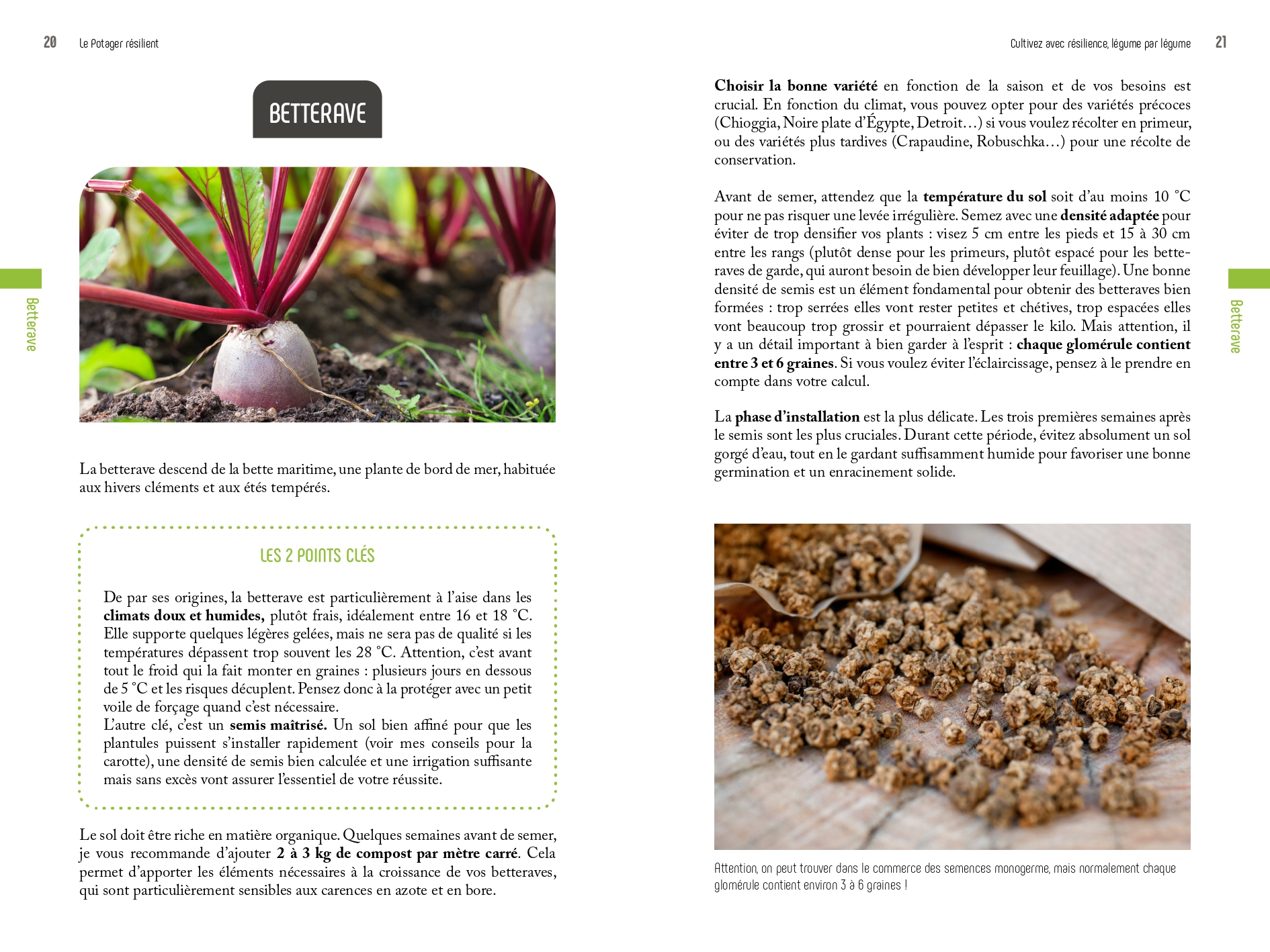 Le potager résilient