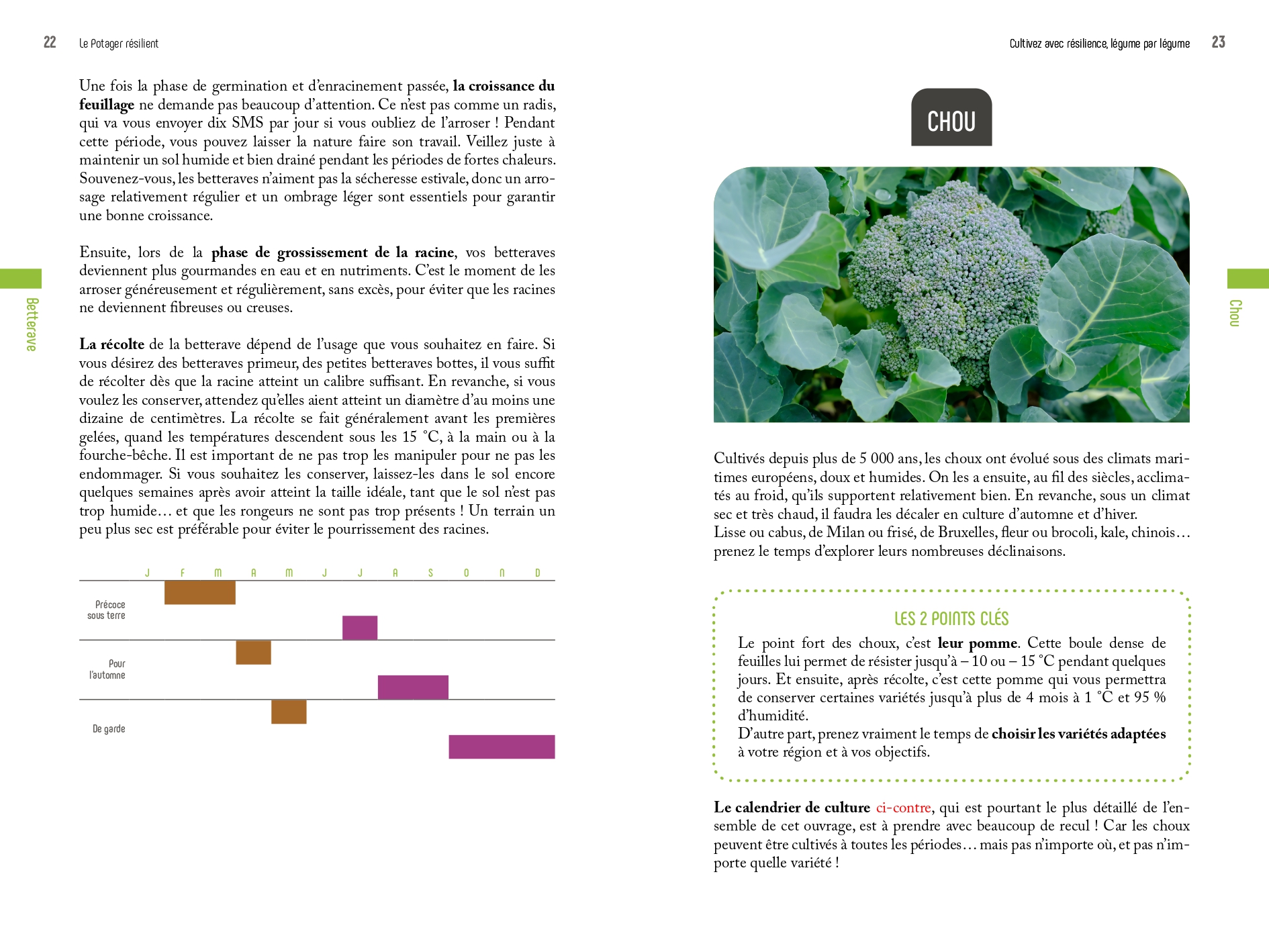 Le potager résilient