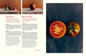 Le-Conservatoire-de-la-Tomate-Savoir-faire-de-La-Bourdaisiere-50-varietes-a-cultiver