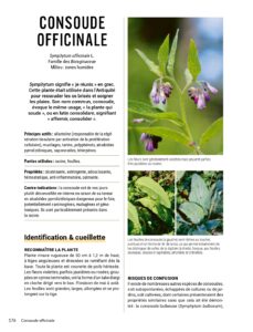 Lencyclopedie-de-lherboristerie-Extrait