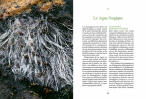 Cultiver ses champignons