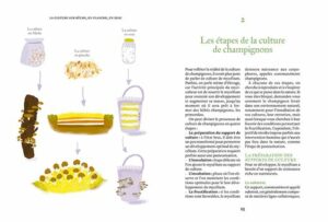 Cultiver ses champignons