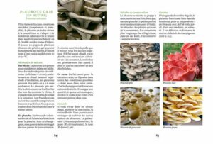 Cultiver ses champignons