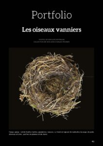 LLC 56 extrait