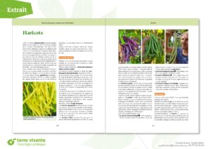 Mes premiers pas au potager
