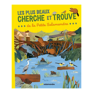 les plus beaux cherche et trouve couv