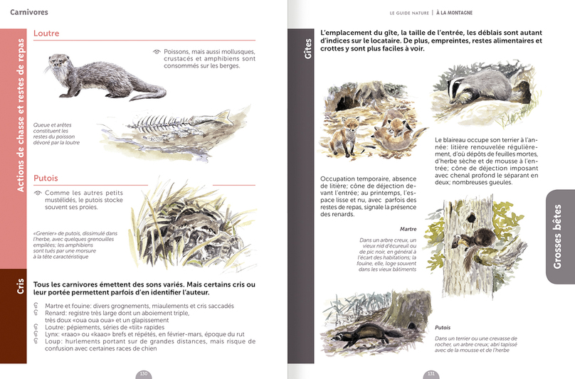 Le guide nature à la montagne - Réédition – Image 2