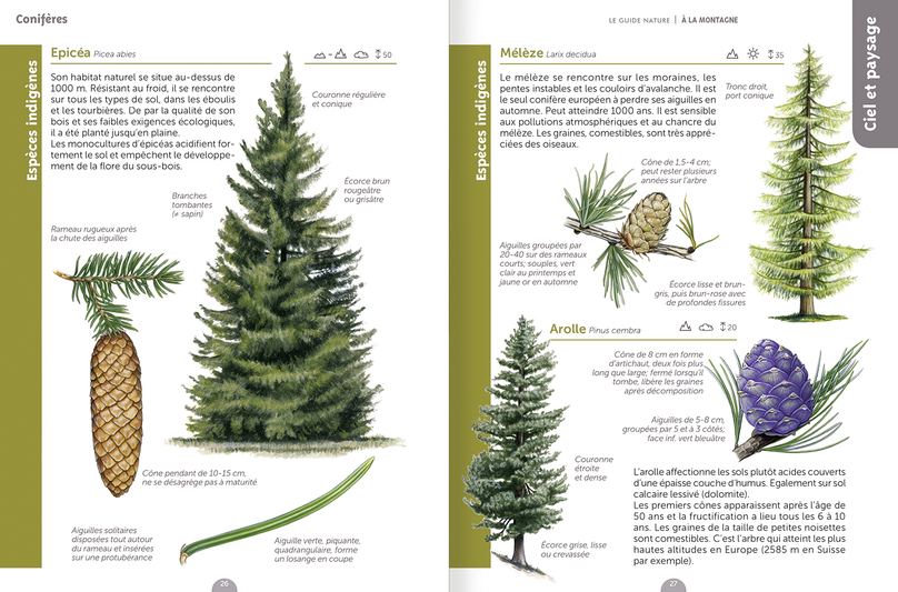 Le guide nature à la montagne - Réédition – Image 3
