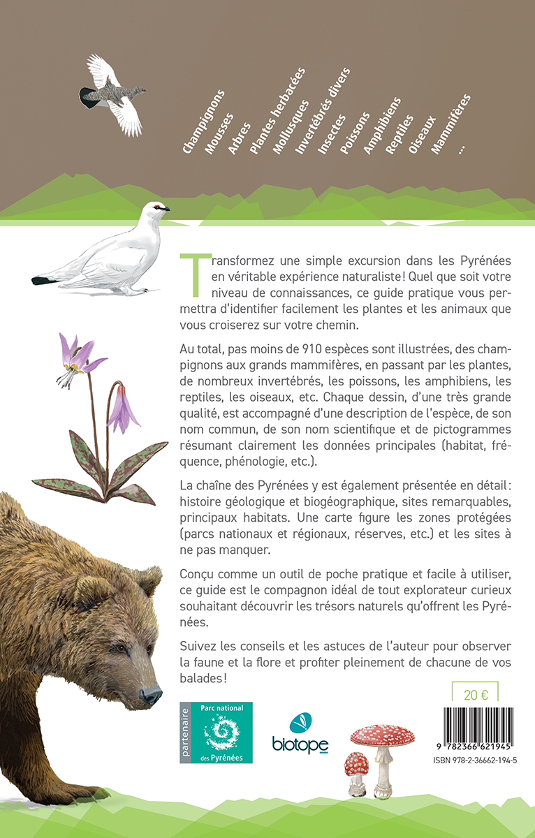 Faune et Flore des Pyrénées – Image 2